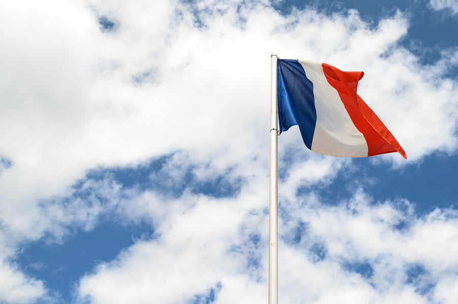 Posso dirigir na França com a carteira de motorista dos EUA?
